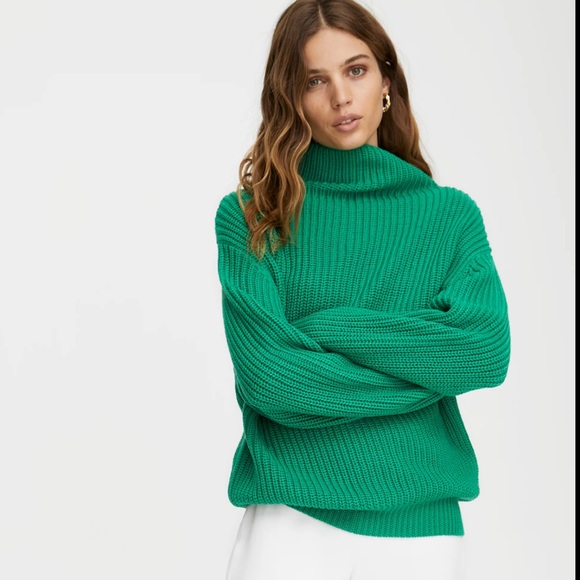Aritzia Sweaters - Aritzia Wilfred Montpellier Turtleneck Sweater Green Size M
